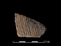 藏品(陶片)的圖片