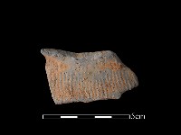 藏品(陶片)的圖片