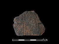 藏品(陶片)的圖片