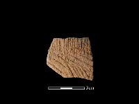 藏品(陶片)的圖片