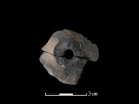 藏品(紡輪)的圖片