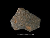 藏品(陶罐)的圖片