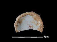 藏品(瓷碗)的圖片