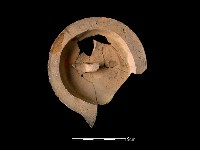 藏品(陶蓋)的圖片