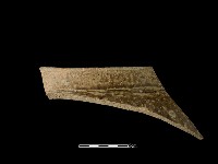 藏品(陶缸)的圖片