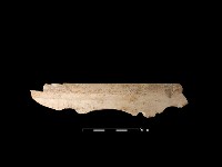 藏品(陶片)的圖片