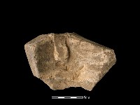 藏品(火爐)的圖片