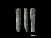 藏品(錛鑿形器)的圖片