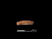 藏品(陶環)的圖片