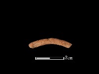 藏品(陶環)的圖片