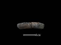 藏品(陶環)的圖片