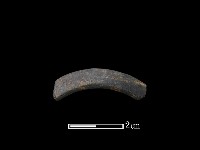 藏品(陶環)的圖片