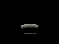 藏品(陶環)的圖片