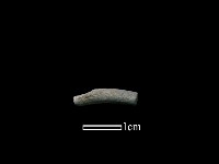 藏品(陶環)的圖片