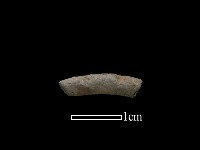 藏品(陶環)的圖片