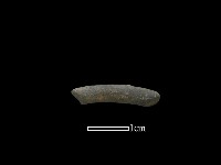 藏品(陶環)的圖片