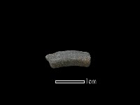 藏品(陶環)的圖片