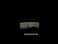 藏品(陶環)的圖片