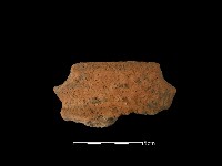 藏品(陶罐)的圖片