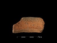 藏品(陶罐)的圖片