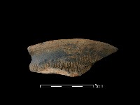 藏品(陶罐)的圖片