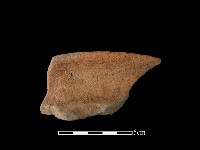 藏品(陶罐)的圖片