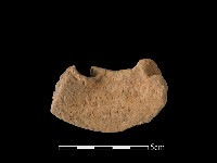 藏品(陶罐)的圖片