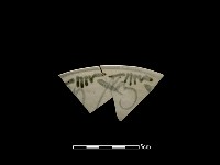 藏品(瓷片)的圖片