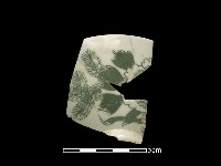 藏品(瓷碗)的圖片