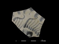 藏品(瓷盤)的圖片