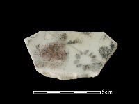 藏品(瓷盤)的圖片