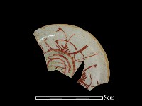 藏品(瓷碟)的圖片