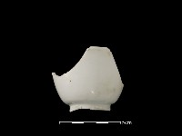 藏品(瓷杯)的圖片