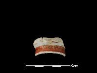 藏品(瓷杯)的圖片