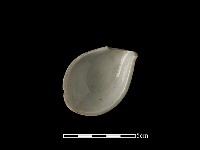 藏品(湯匙)的圖片