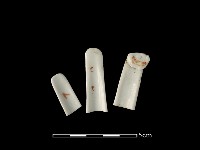 藏品(湯匙)的圖片