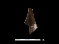 藏品(湯匙)的圖片