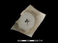 藏品(瓷片)的圖片