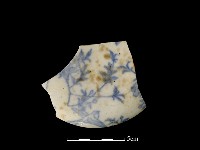 藏品(瓷蓋)的圖片