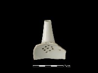 藏品(茶壺)的圖片