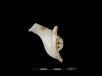 藏品(茶壺)的圖片