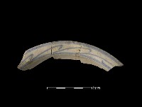 藏品(瓷器)的圖片