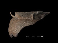 藏品(陶鍋)的圖片