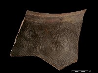 藏品(陶缸)的圖片