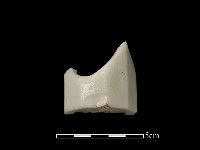 藏品(玻璃瓶)的圖片