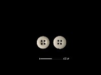 藏品(鈕扣)的圖片