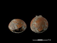 藏品(銅鈴)的圖片