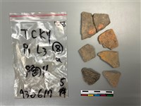 藏品(陶片)的圖片