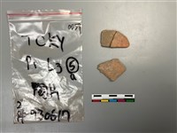 藏品(陶片)的圖片