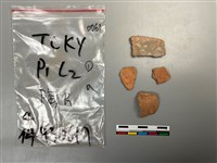 藏品(陶片)的圖片